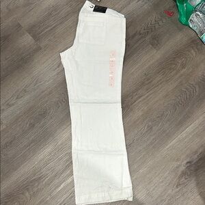 Banana Republic Cream Martin Fit Pants